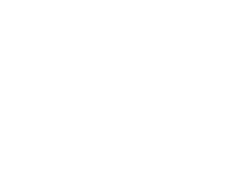 Via313